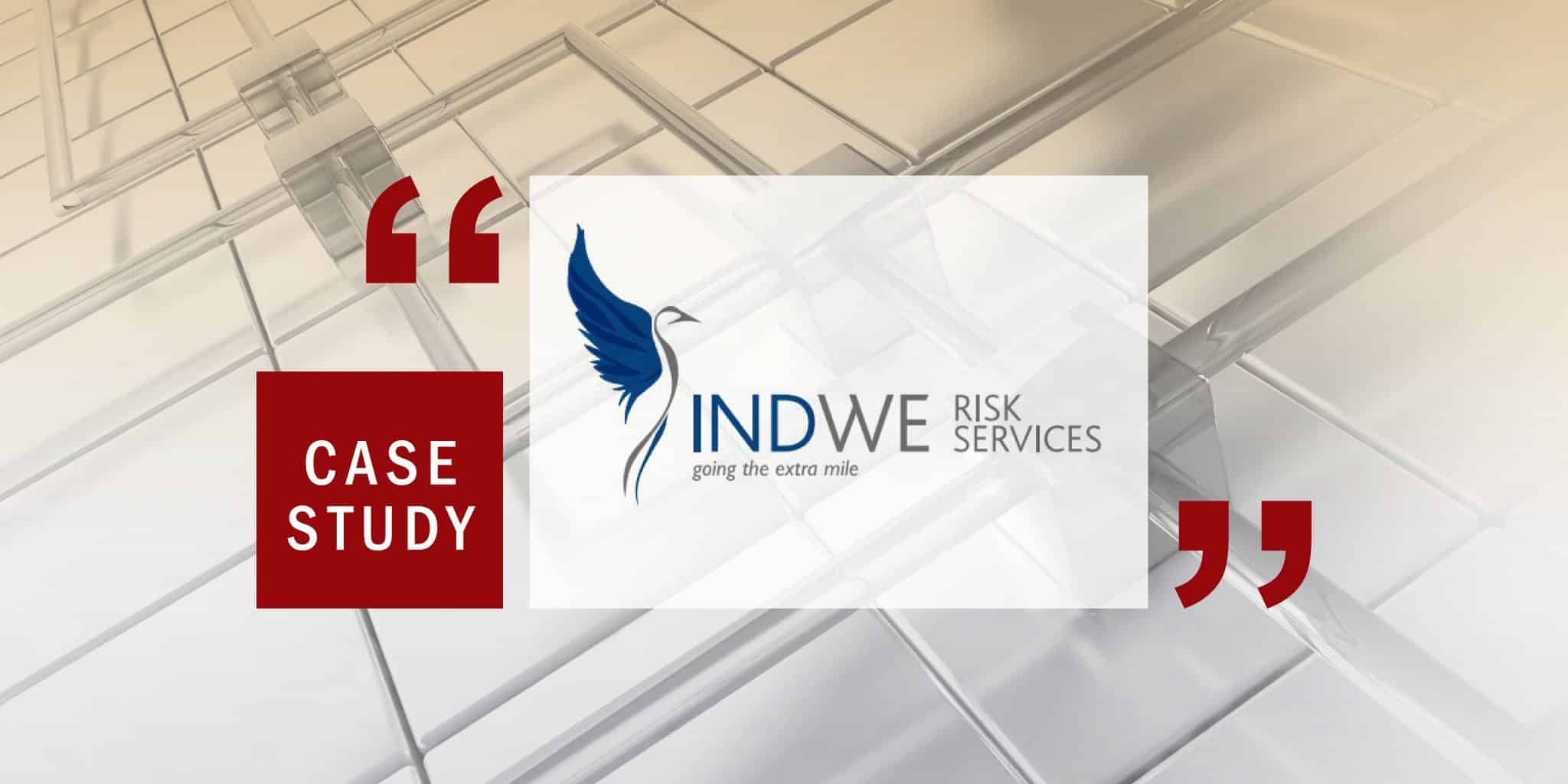 Case Study Indwe Risk Services