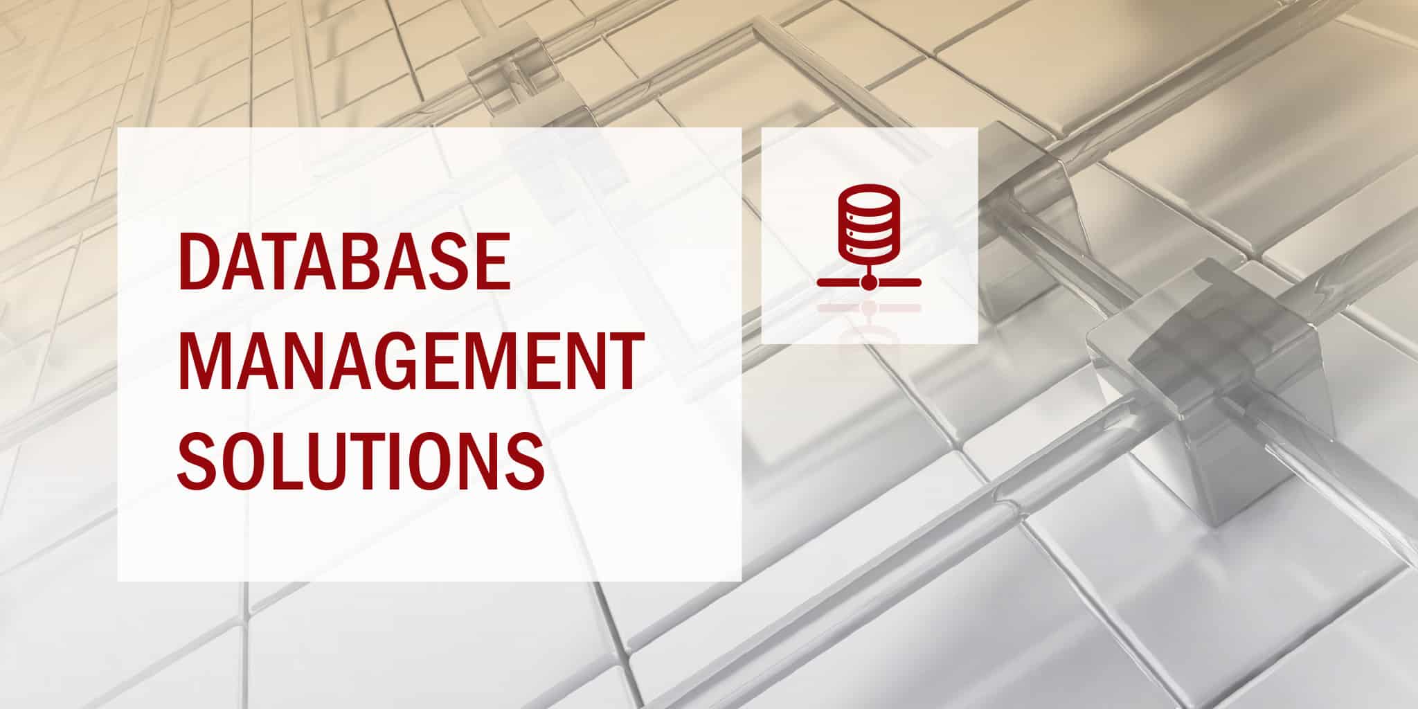 Database Management Solutions